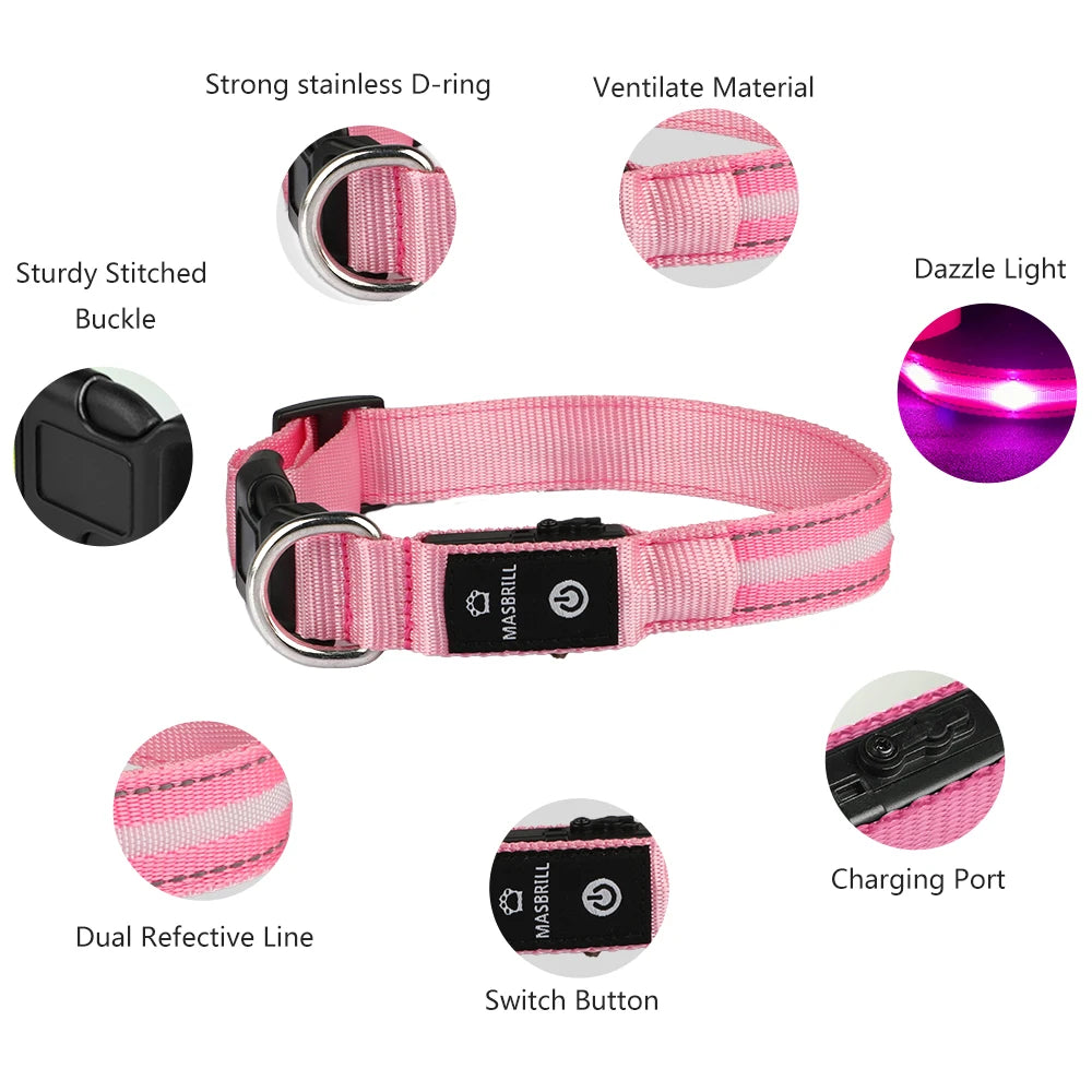 Masbrill Light Up Dog Collar Waterproof USB Rechargeable Nylon