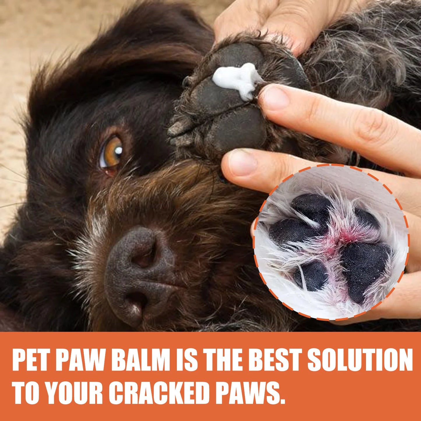 Pet Paw Cream 30g Moisturizing Nourishing Natural Ingredients for Cat and Dog Paw Protection