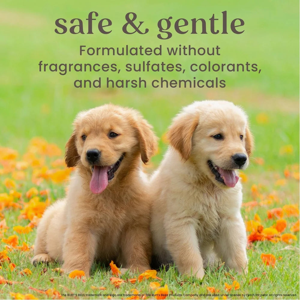 XMSJ Natural Tearless 2-in-1 Dog Shampoo And Conditioner For Puppies With Buttermilk And Linseed Oil