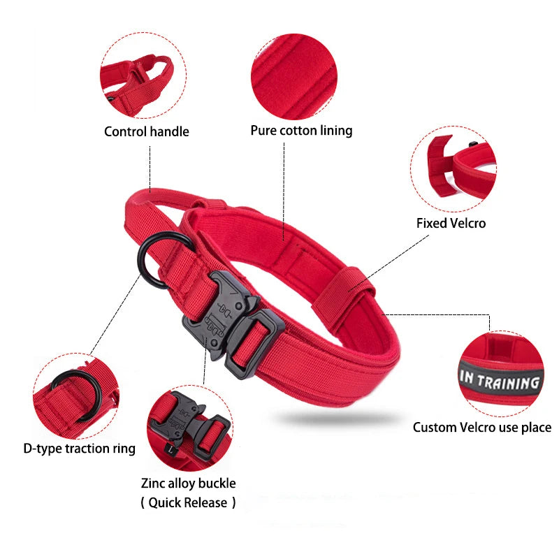 Durable Nylon Dog Collar and Leash Set for Large Breeds