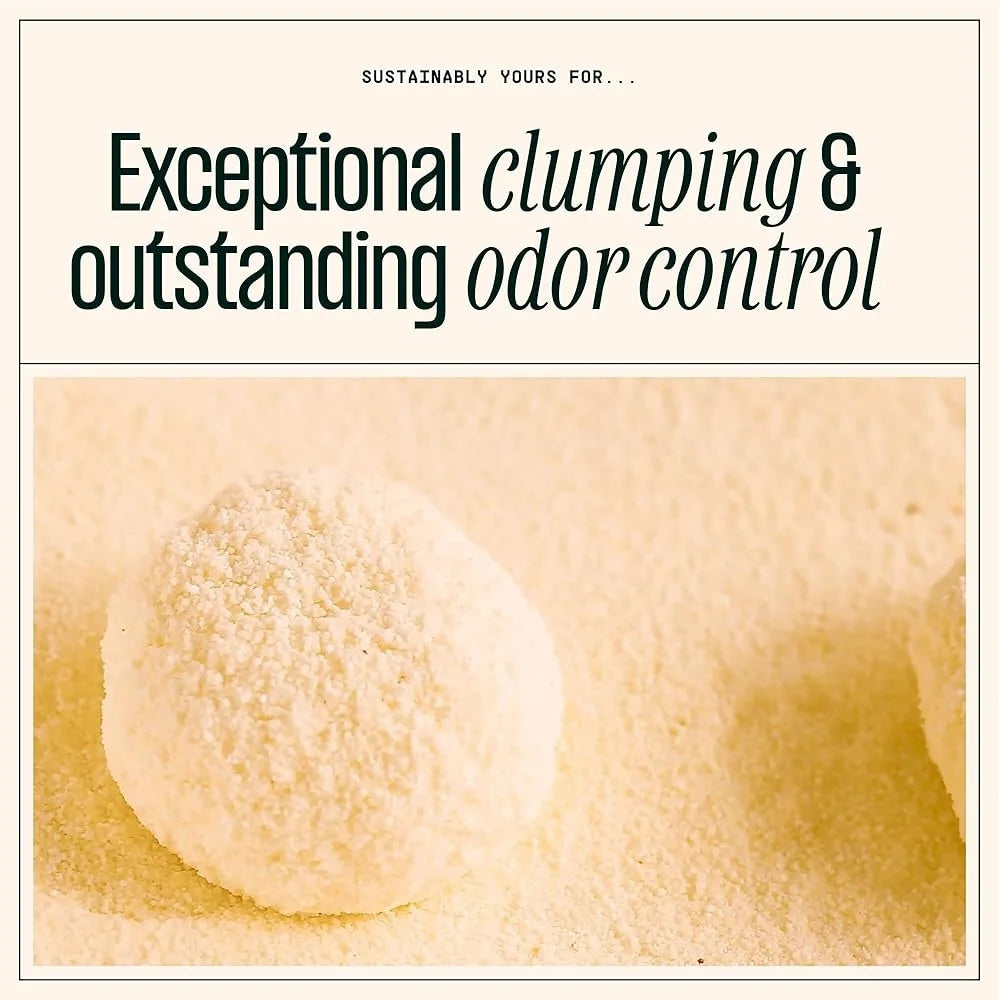 Natural Unscented Cat Litter 10 lbs Clumping Formula Odor Control