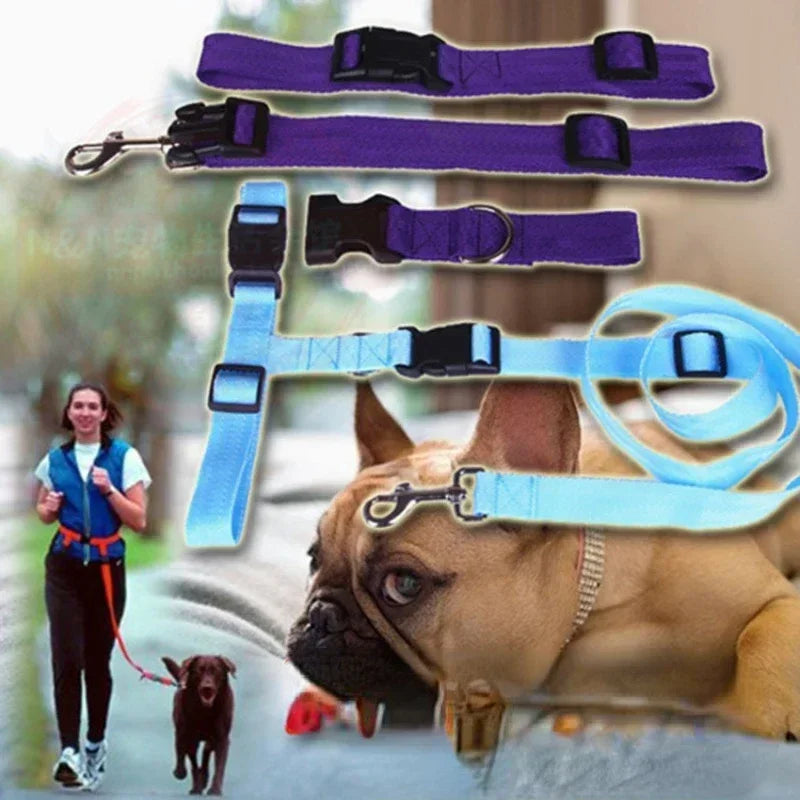 Adjustable Cat Dog Walking Lead Belt with Free Rope Supplies