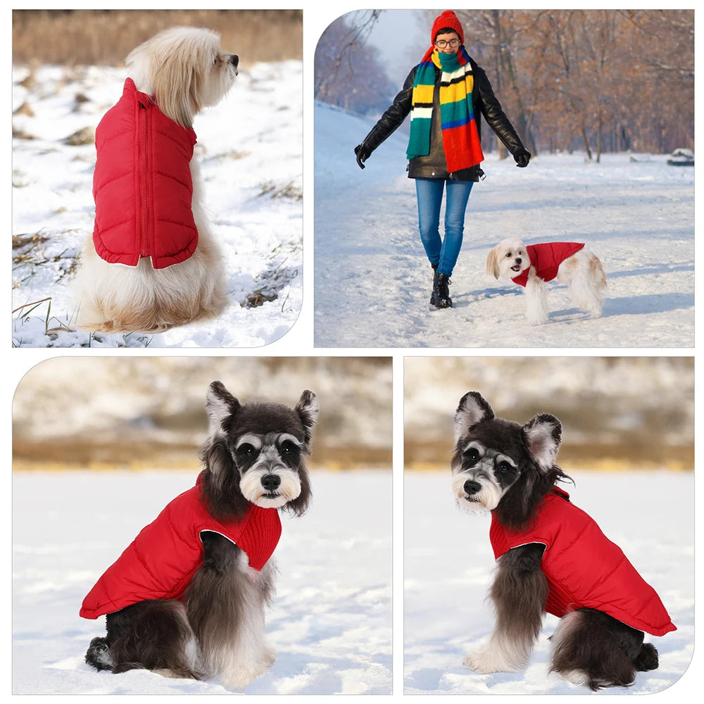 Warm Knitted Dog Vest Jacket for Autumn Winter Small Breeds