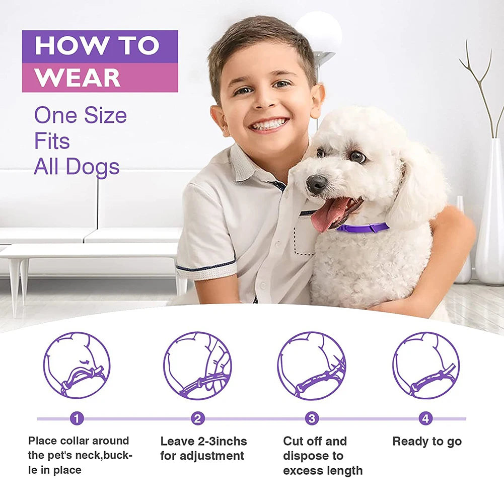 HobbyLaneCN Calming Dog Collar 3 Pack Stress Relief
