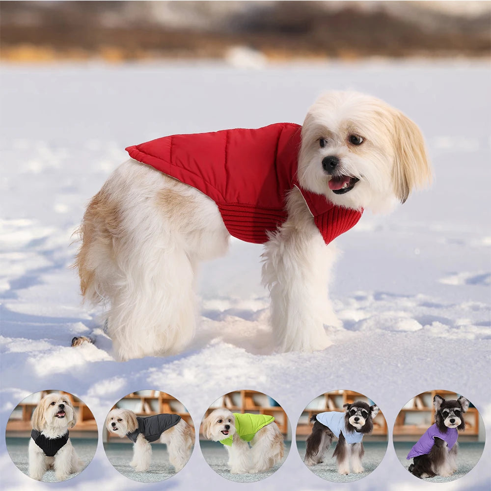 Warm Knitted Dog Vest Jacket for Autumn Winter Small Breeds