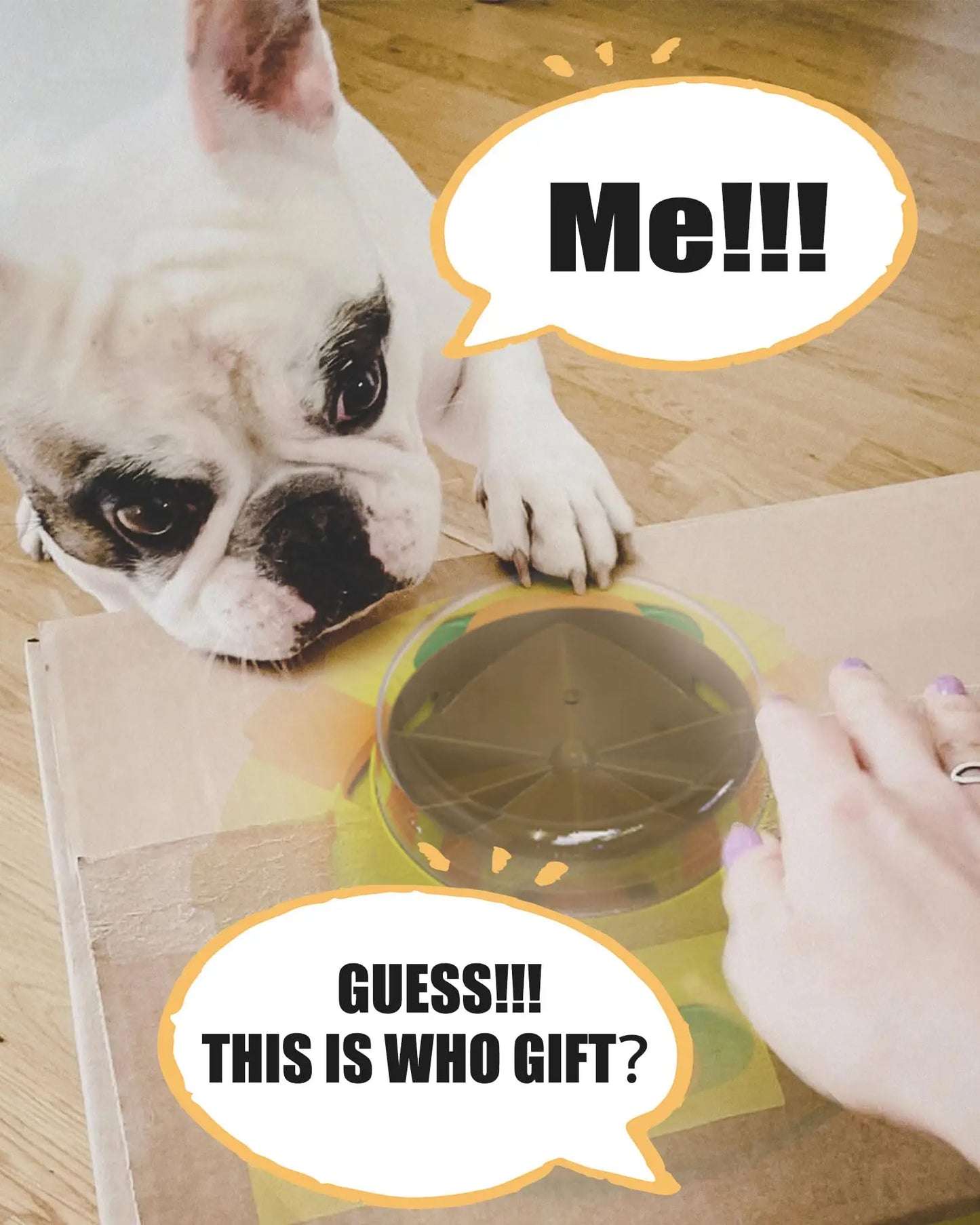 Interactive Puzzle Toy for Dogs Enrichment Pet Slow Feeder Dispenser for Dry Food and Treats