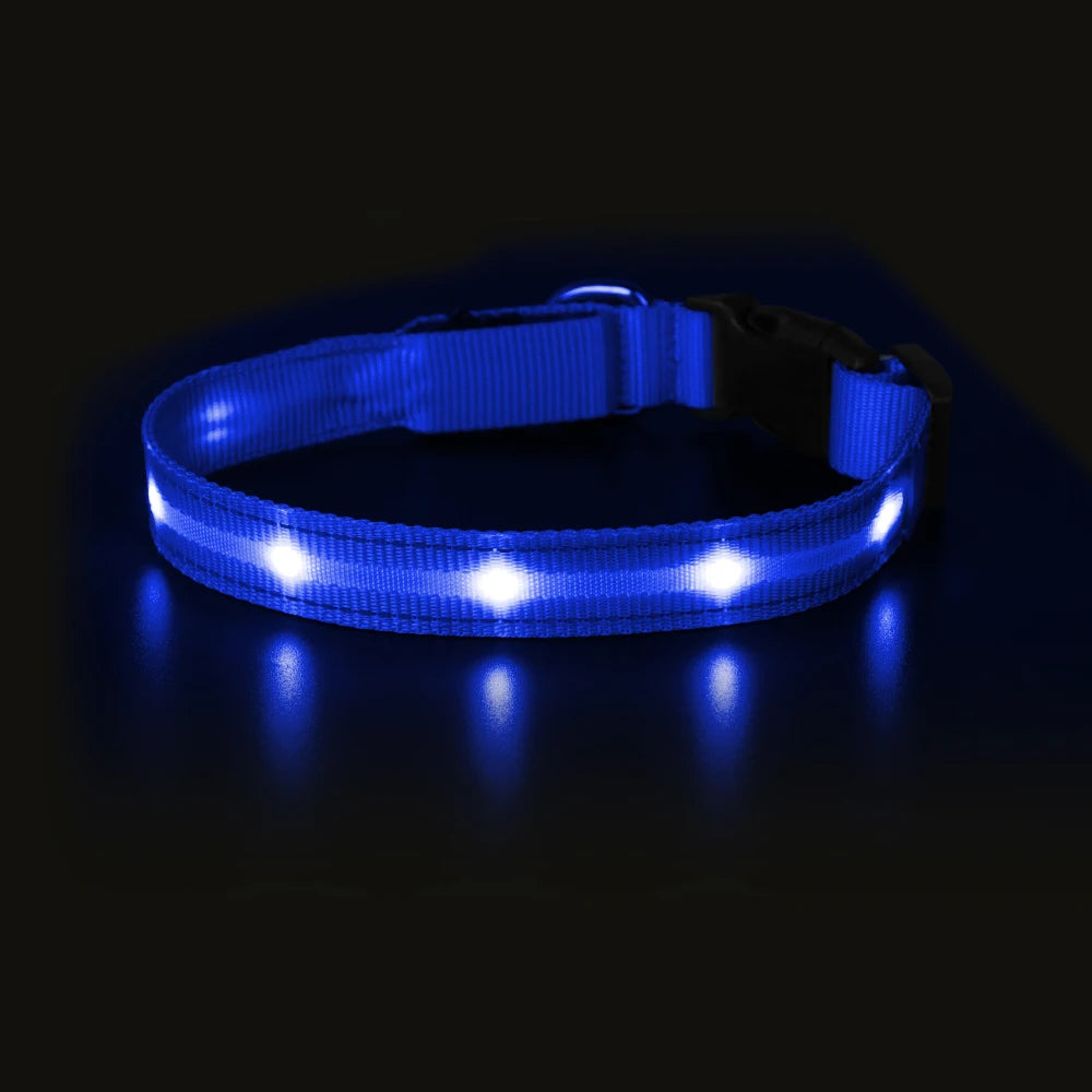 Masbrill Light Up Dog Collar Waterproof USB Rechargeable Nylon