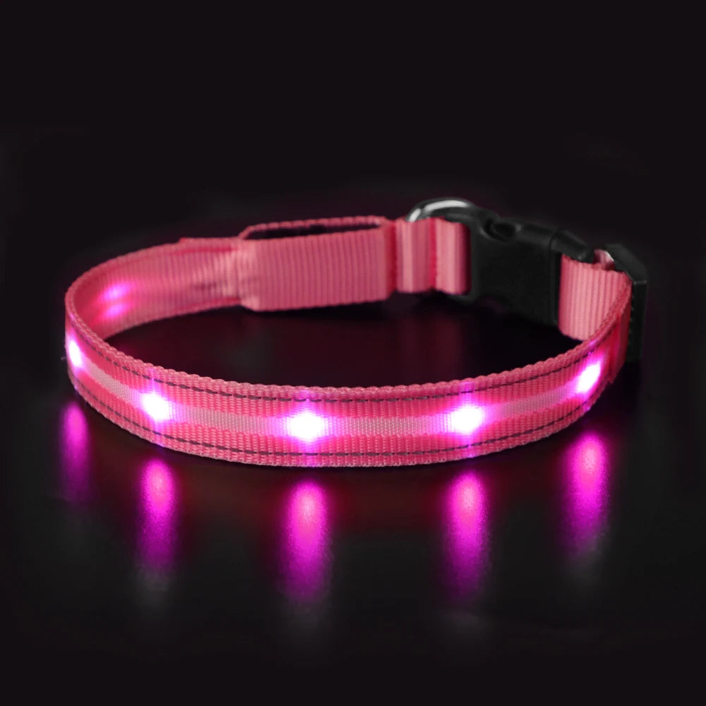 Masbrill Light Up Dog Collar Waterproof USB Rechargeable Nylon