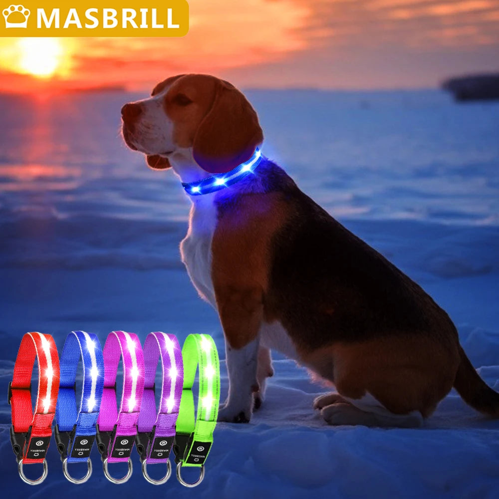 Masbrill Light Up Dog Collar Waterproof USB Rechargeable Nylon