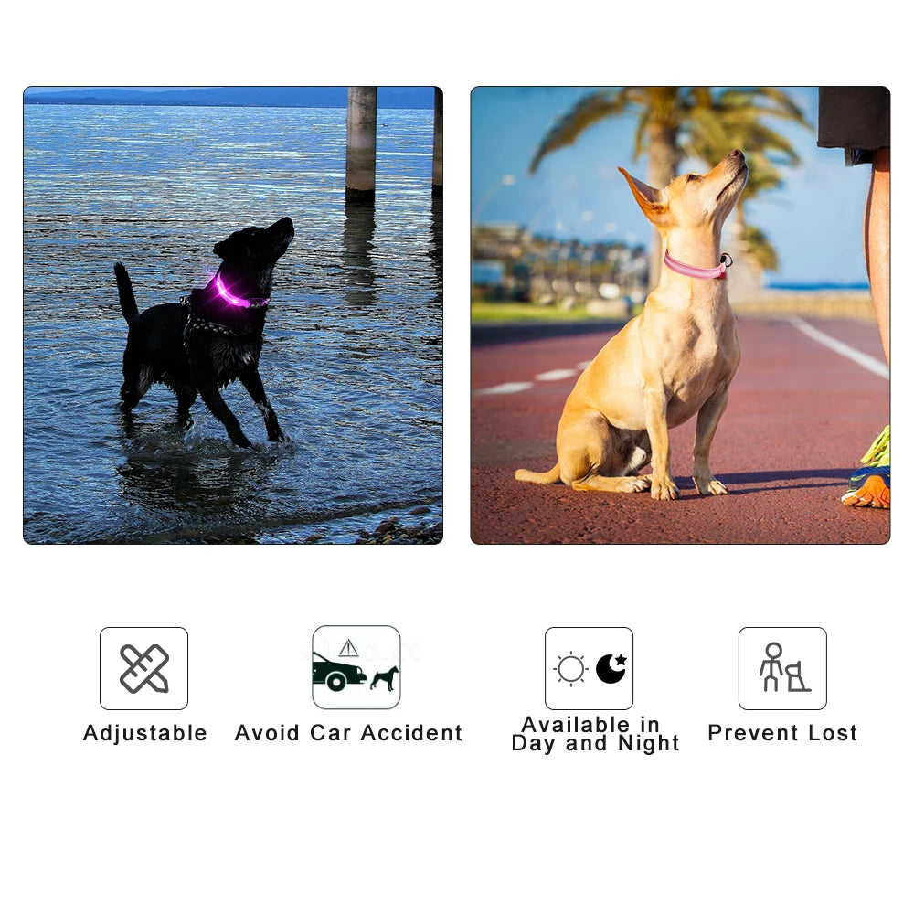 Masbrill Light Up Dog Collar Waterproof USB Rechargeable Nylon