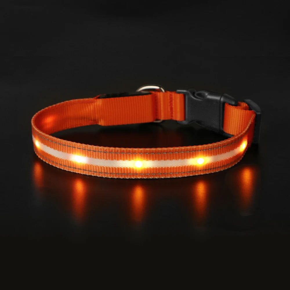 Masbrill Light Up Dog Collar Waterproof USB Rechargeable Nylon