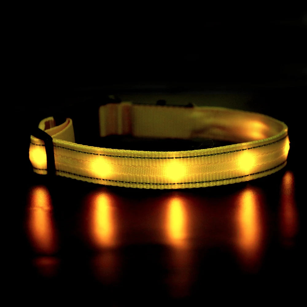 Masbrill Light Up Dog Collar Waterproof USB Rechargeable Nylon
