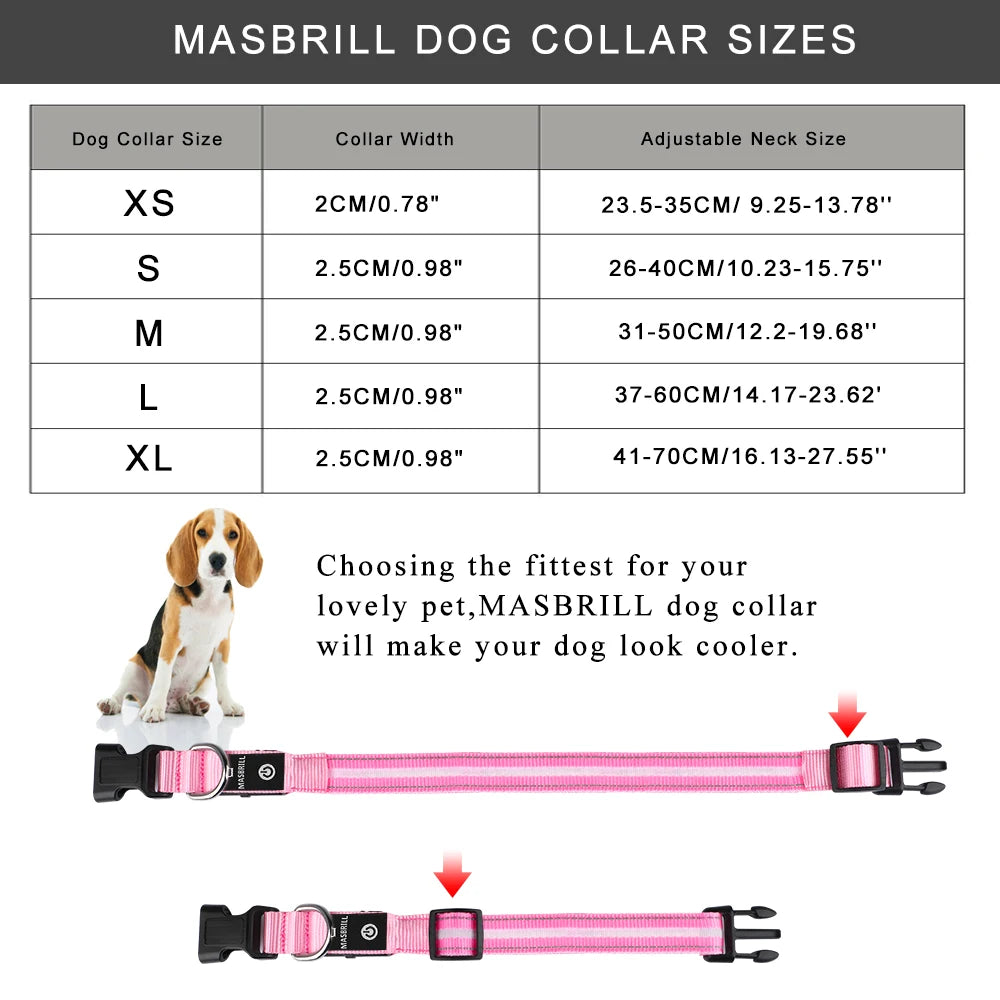 Masbrill Light Up Dog Collar Waterproof USB Rechargeable Nylon