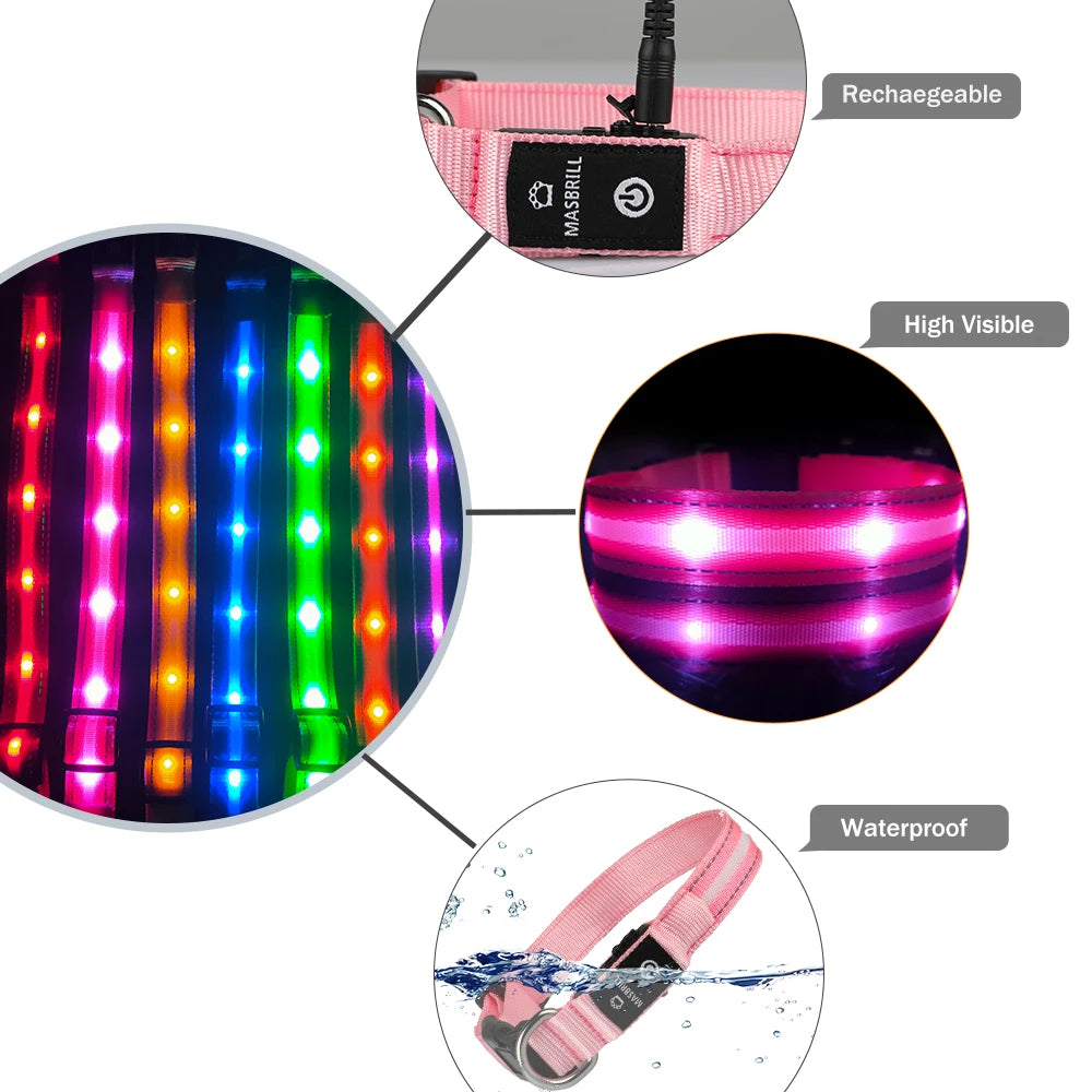 Masbrill Light Up Dog Collar Waterproof USB Rechargeable Nylon