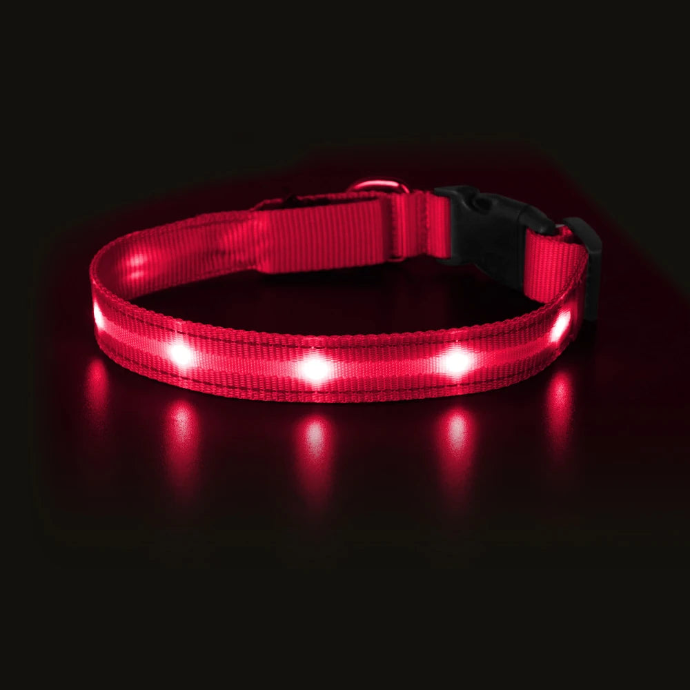 Masbrill Light Up Dog Collar Waterproof USB Rechargeable Nylon