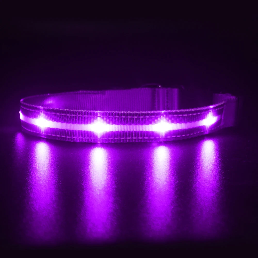 Masbrill Light Up Dog Collar Waterproof USB Rechargeable Nylon