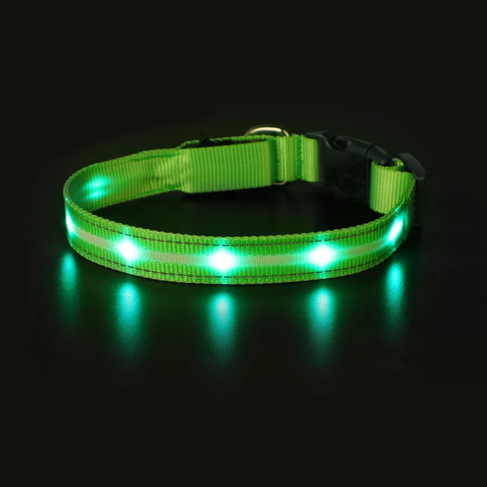 Masbrill Light Up Dog Collar Waterproof USB Rechargeable Nylon