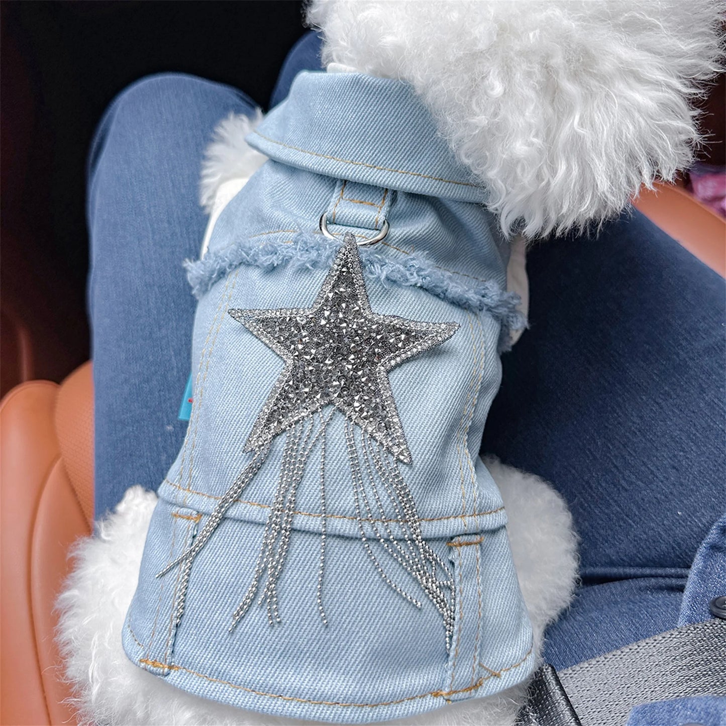 Dog Denim Jacket Vest Costume by NoEnName Classic Jean Coat for Everyday Wear and Special Occasions
