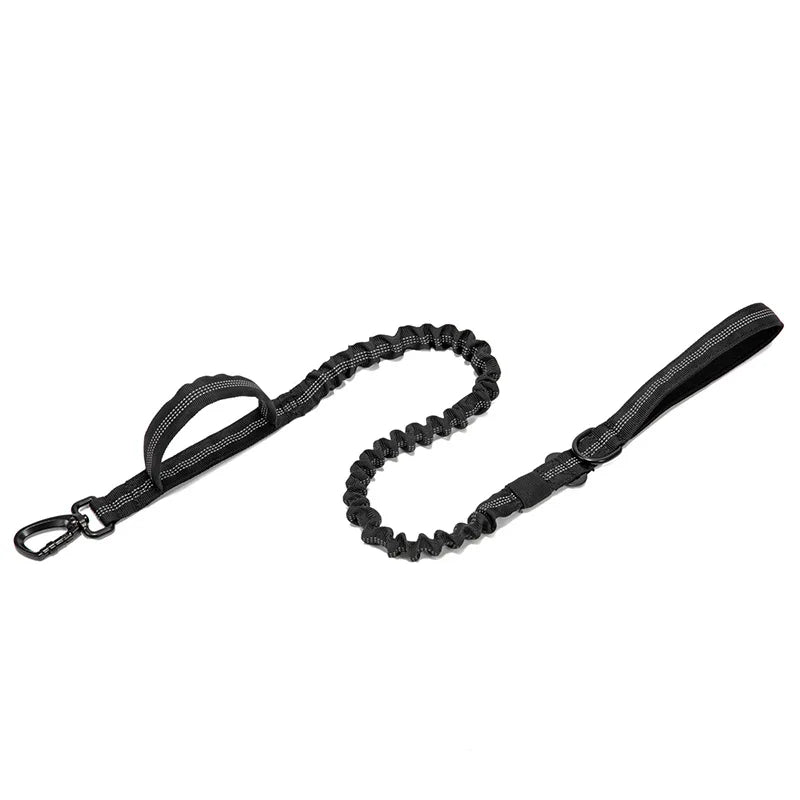 Durable Nylon Dog Collar and Leash Set for Large Breeds