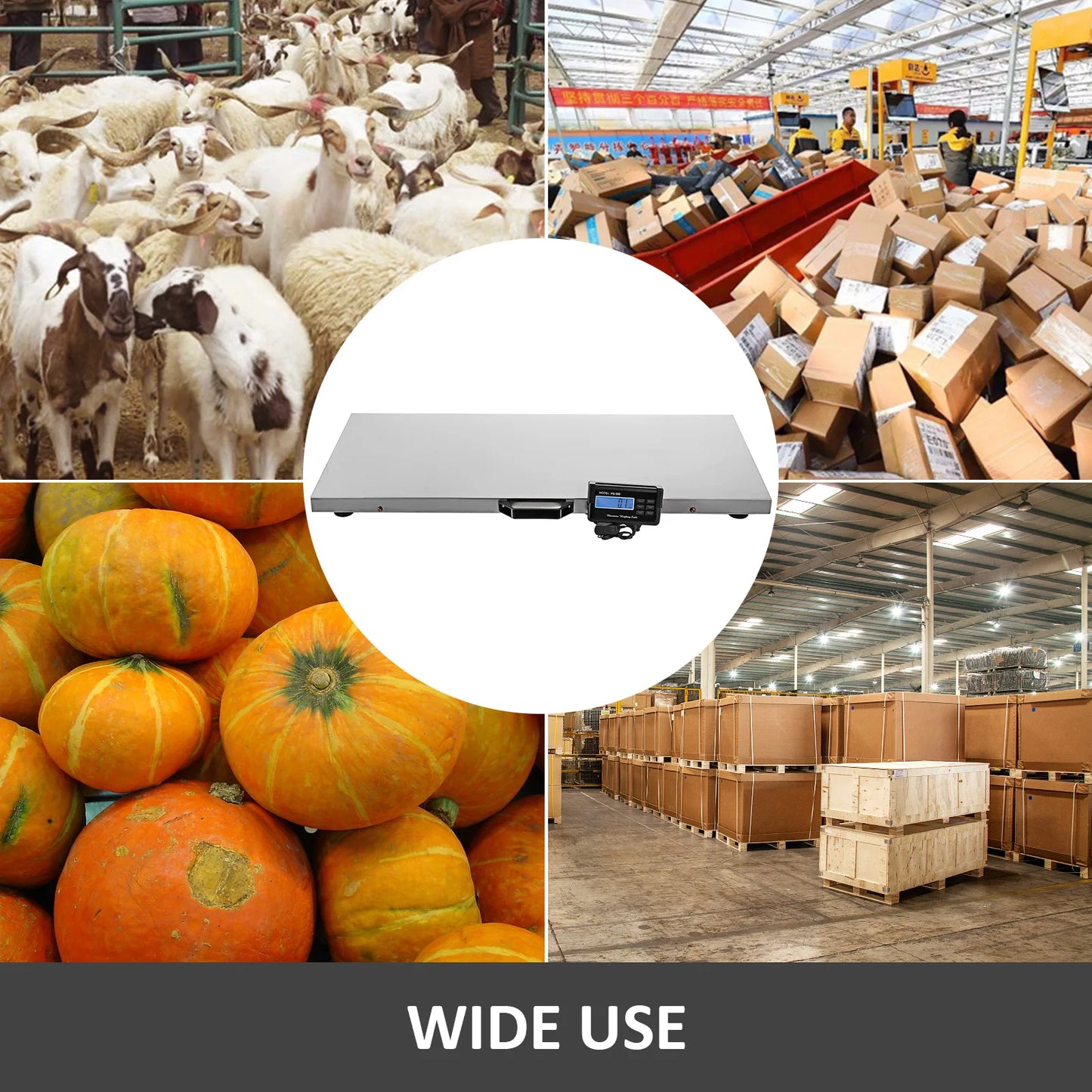 SucceBuy Digital Livestock Scale Stainless Steel Platform for Pets and Shipping