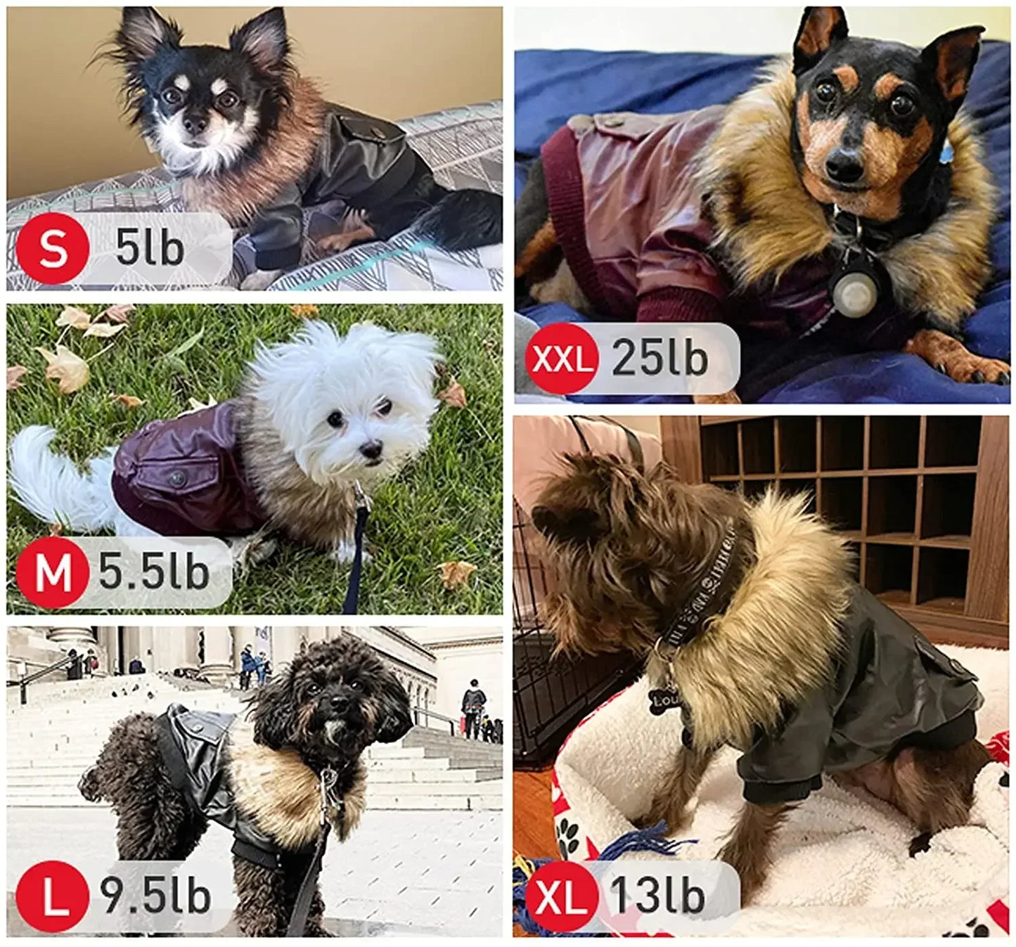 Winter Waterproof PU Dog Jacket for Medium Dogs by NoEnName