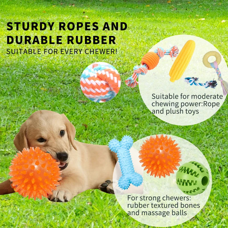 18 Piece Dog Toy Set with Squeaky Chew Toys and Ropes