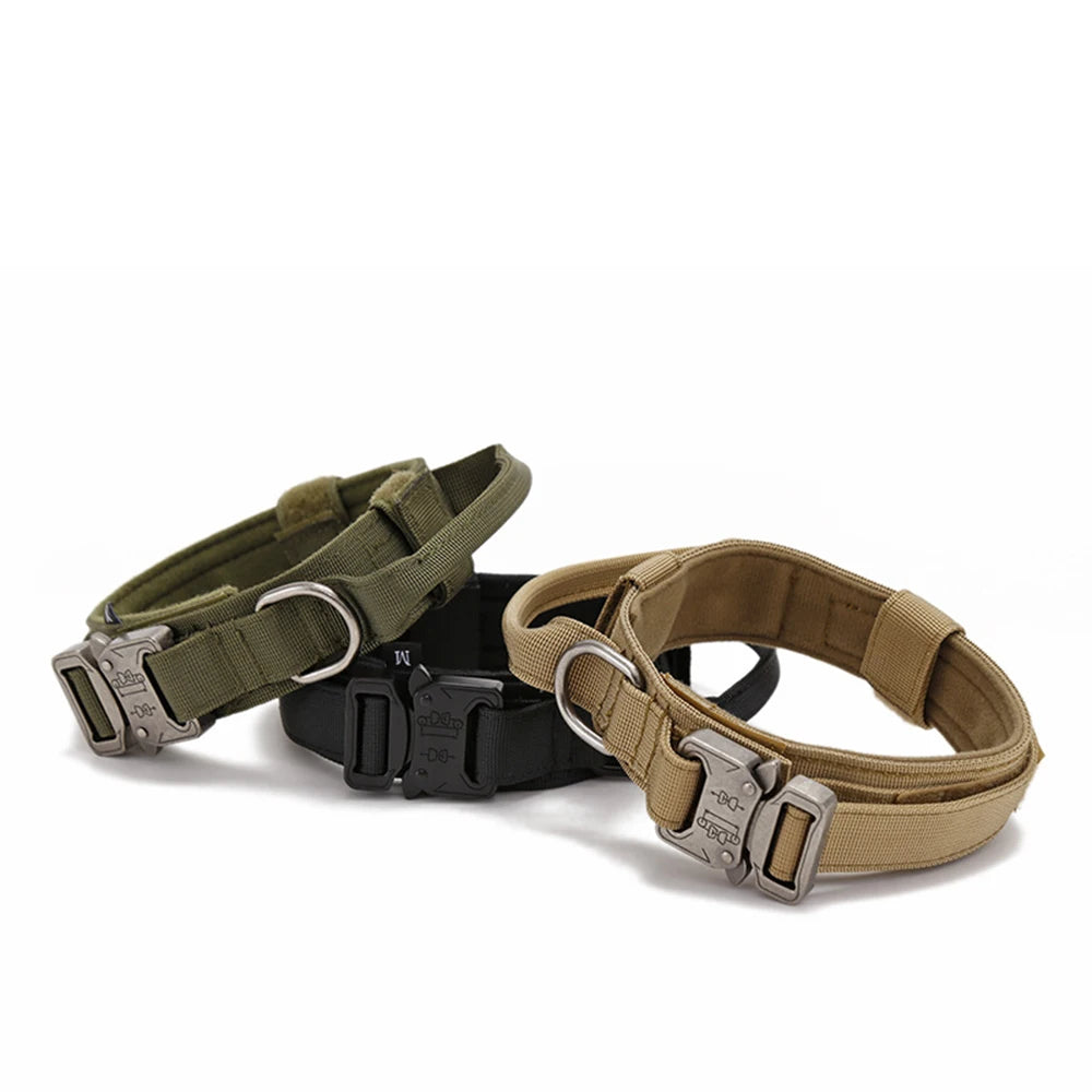 Durable Nylon Dog Collar and Leash Set for Large Breeds