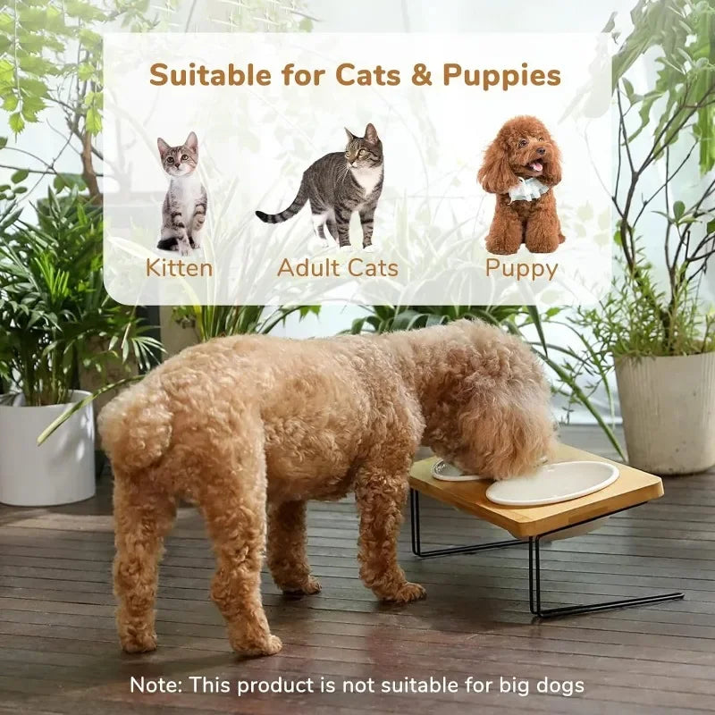 Elevated Cat Ceramic Bowls with Bamboo Stand for Easy Feeding