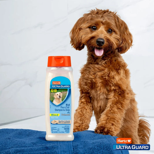 XMSJ UltraGuard Flea Tick Oatmeal Shampoo for Dogs Cleansing Formula with Vanilla Scent