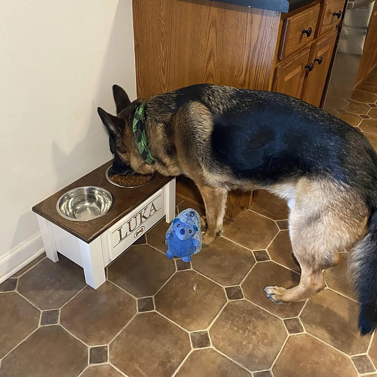 Elevated Dog Bowl Stand with Storage and Stainless Steel Dishes