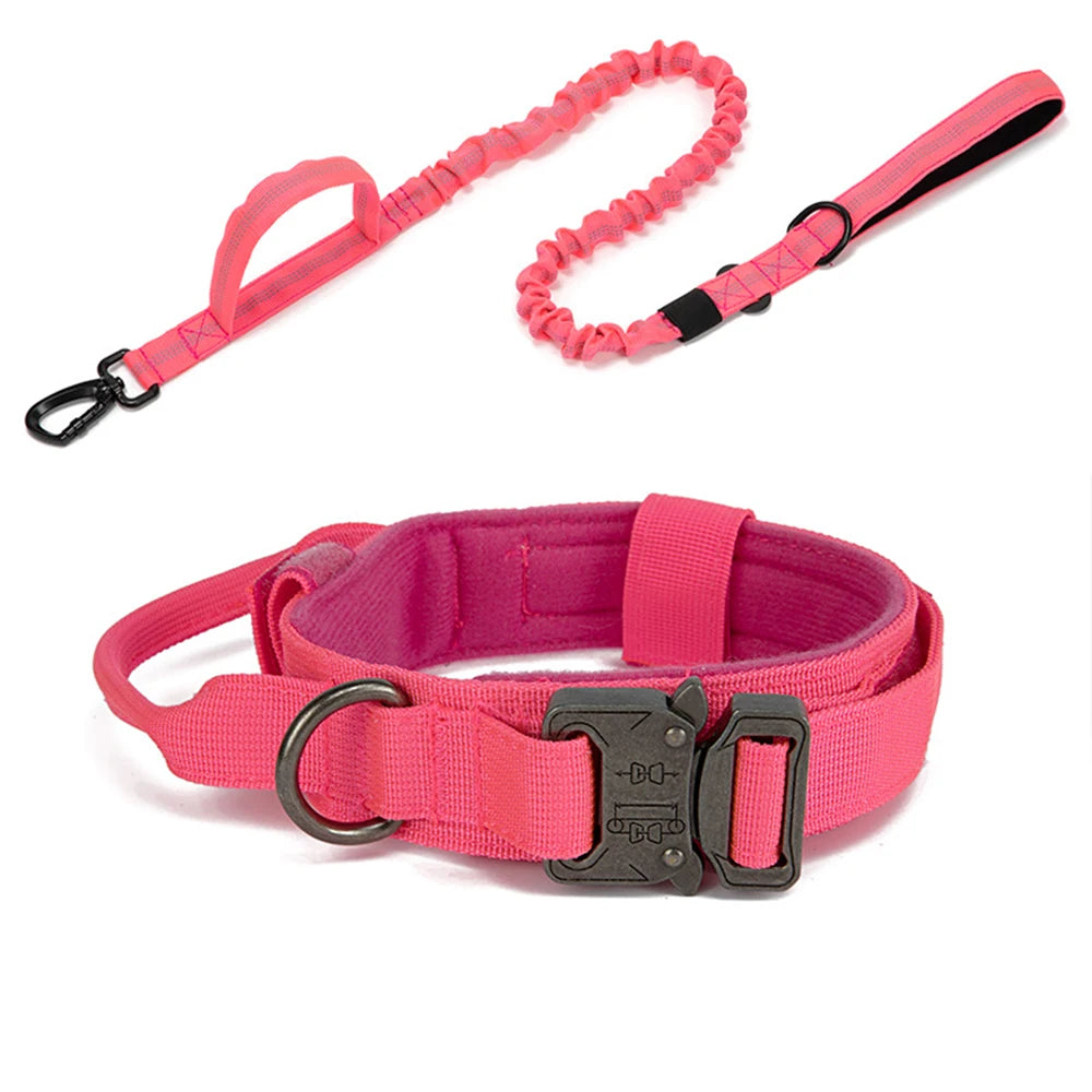 Durable Nylon Dog Collar and Leash Set for Large Breeds