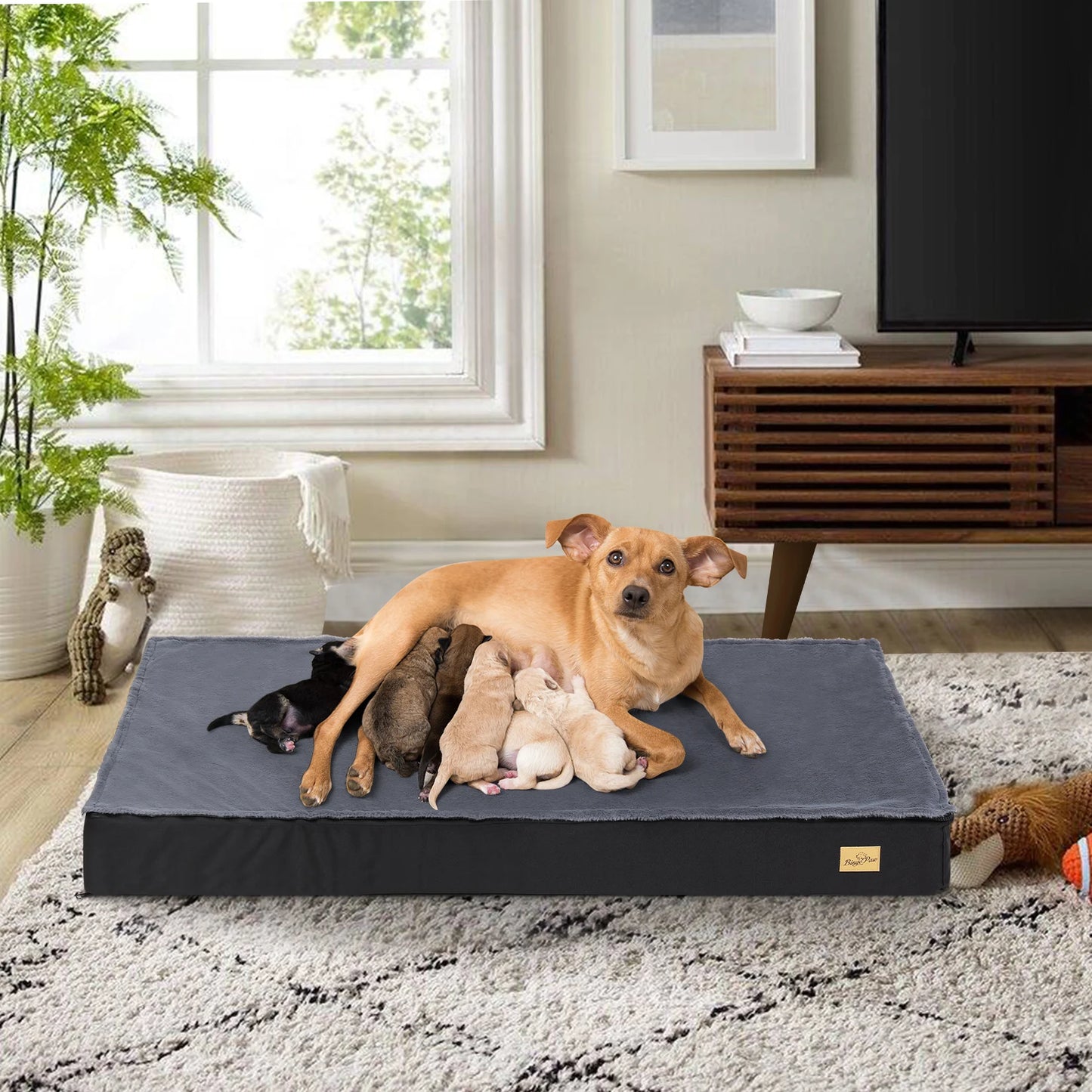 Washable Orthopedic Dog Bed for Large Dogs Comfortable Foam