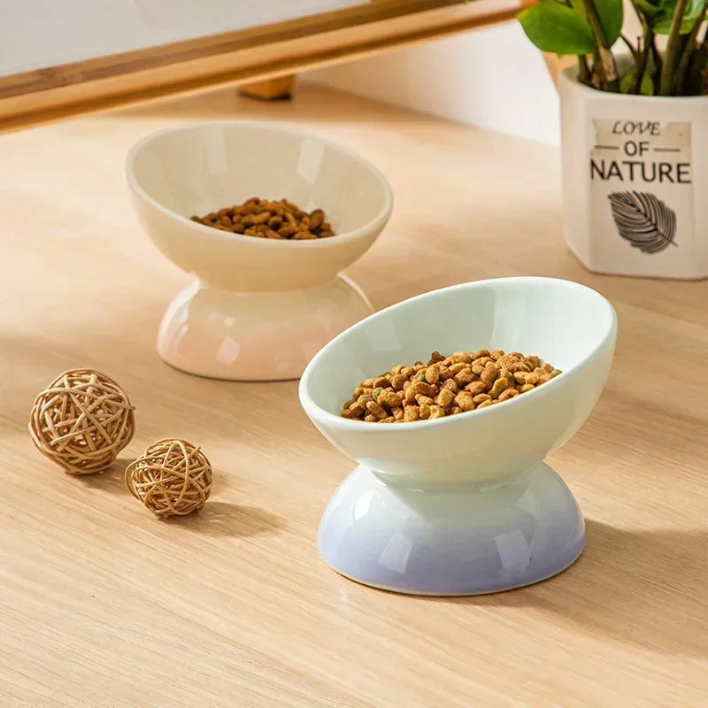 Tilted Ceramic Pet Bowl for Cats and Dogs Raised Feeding Station