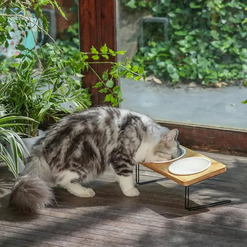 Elevated Cat Ceramic Bowls with Bamboo Stand for Easy Feeding