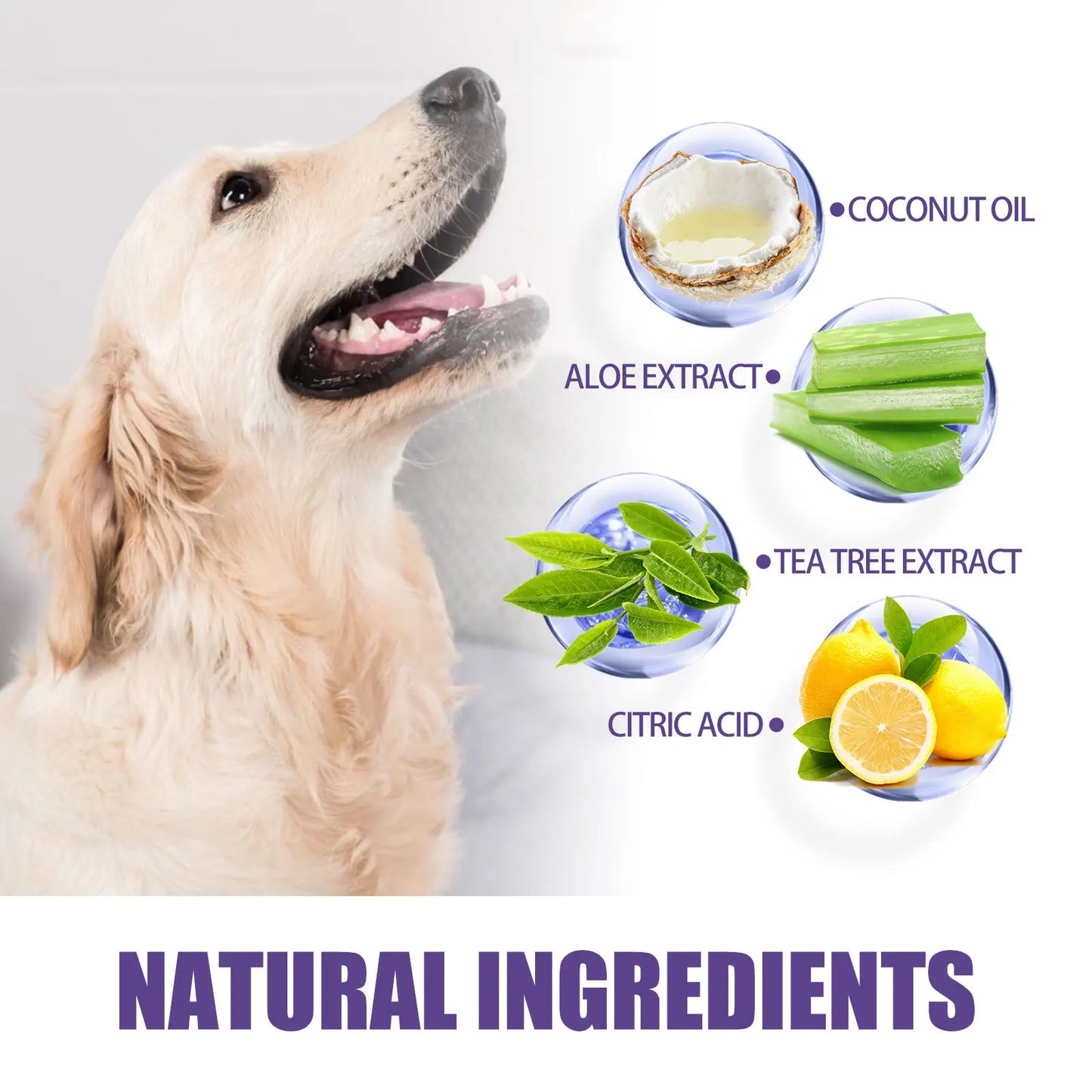 50PCS Cat Dog Tooth Cleaning Wipes Gentle Gum Care Lemon Scent
