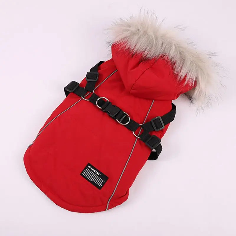 Winter Pet Dog Jacket With Harness Warm Waterproof Hooded Coat For Small And Medium Dogs Chihuahua French Bulldog Outfit