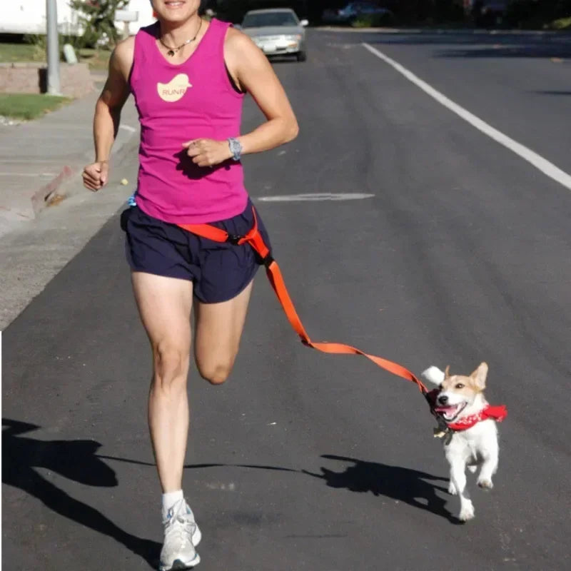 Adjustable Cat Dog Walking Lead Belt with Free Rope Supplies