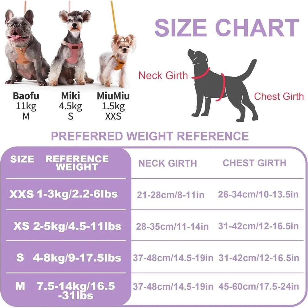 CN Fujian Adjustable No Pull Puppy Harness With Leash