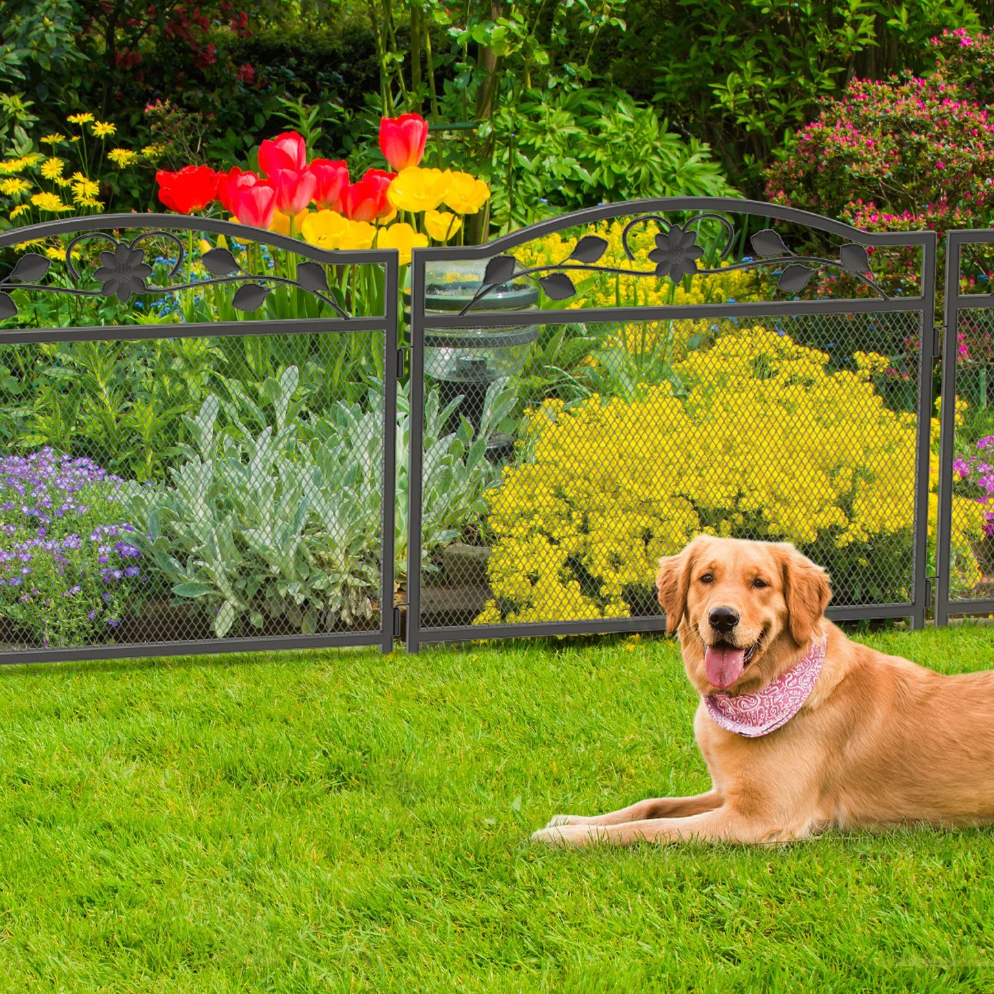 Bingopaw Outdoor Dog Playpen Heavy Metal Fence Panels