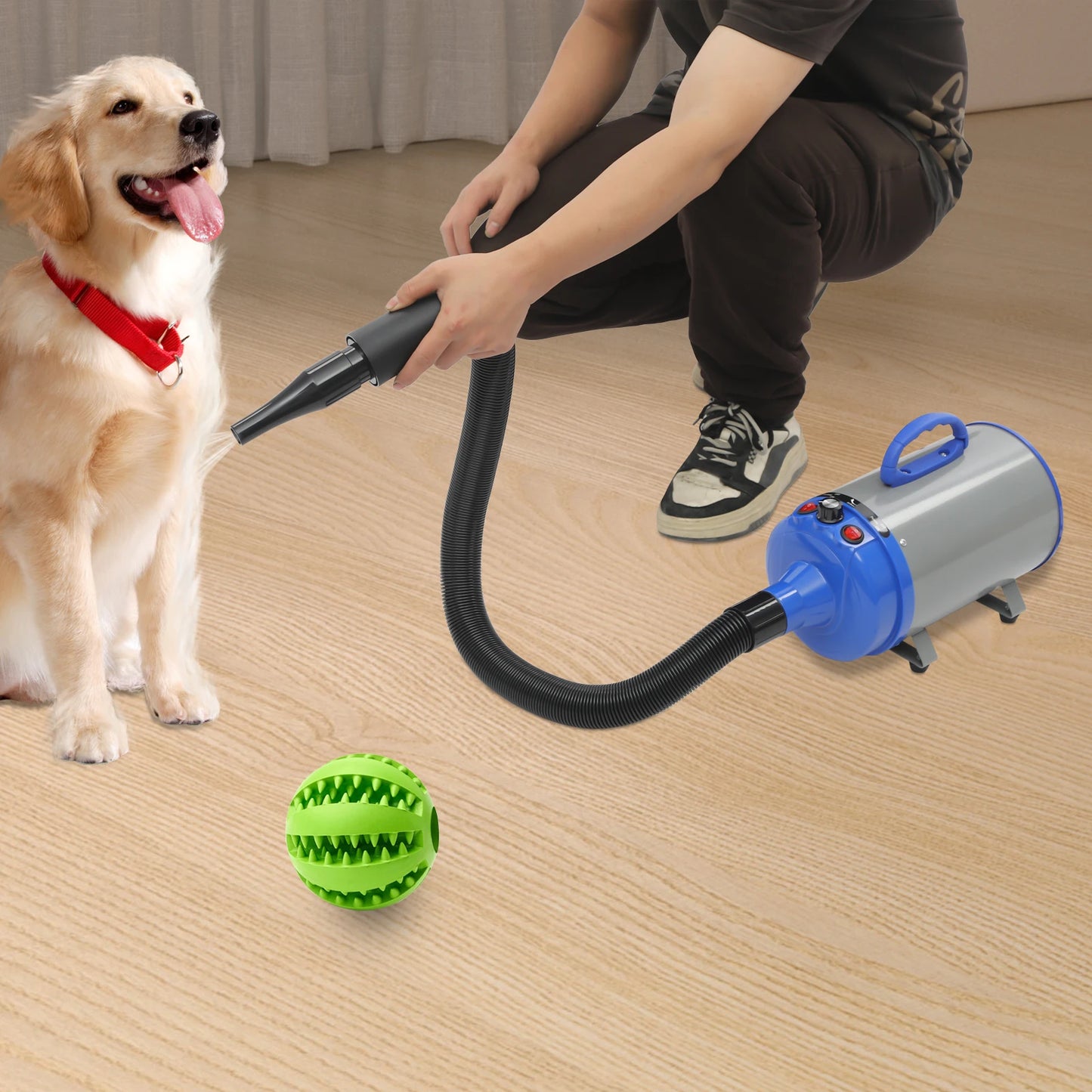 2200W Pet Hair Dryer With 4 Nozzles And Adjustable Speed
