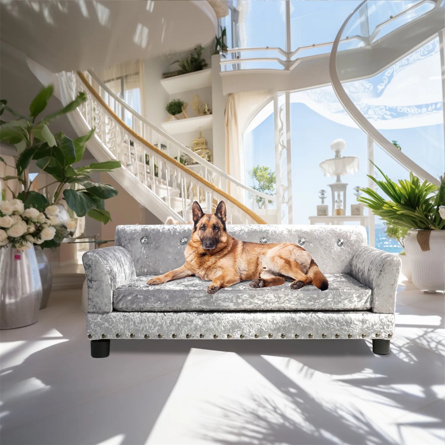 BingoPaw Jumbo Dog Sofa Bed Velvet Memory Foam Lounge Couch