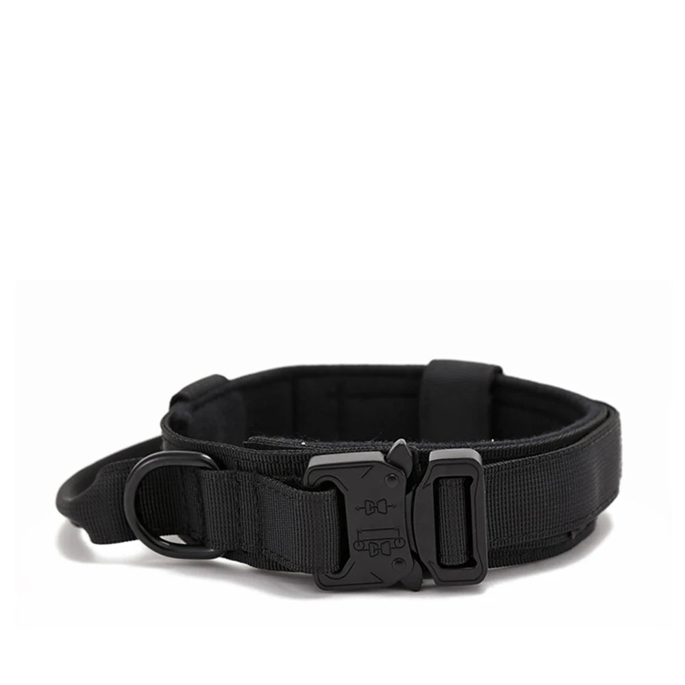 Durable Nylon Dog Collar and Leash Set for Large Breeds