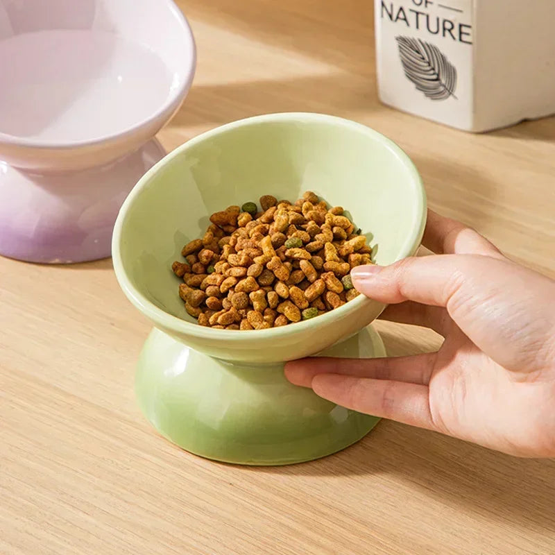 Tilted Ceramic Pet Bowl for Cats and Dogs Raised Feeding Station