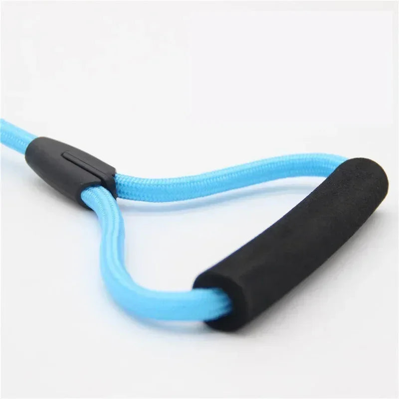 Double Dog Leash Coupler for Small Dogs Nylon Black Two Way Lead