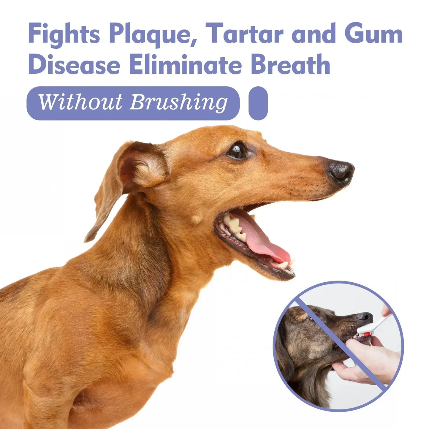 Pet Tooth Cleaning Spray for Dogs and Cats 30ml Oral Care Freshener Deodorization Dental Care