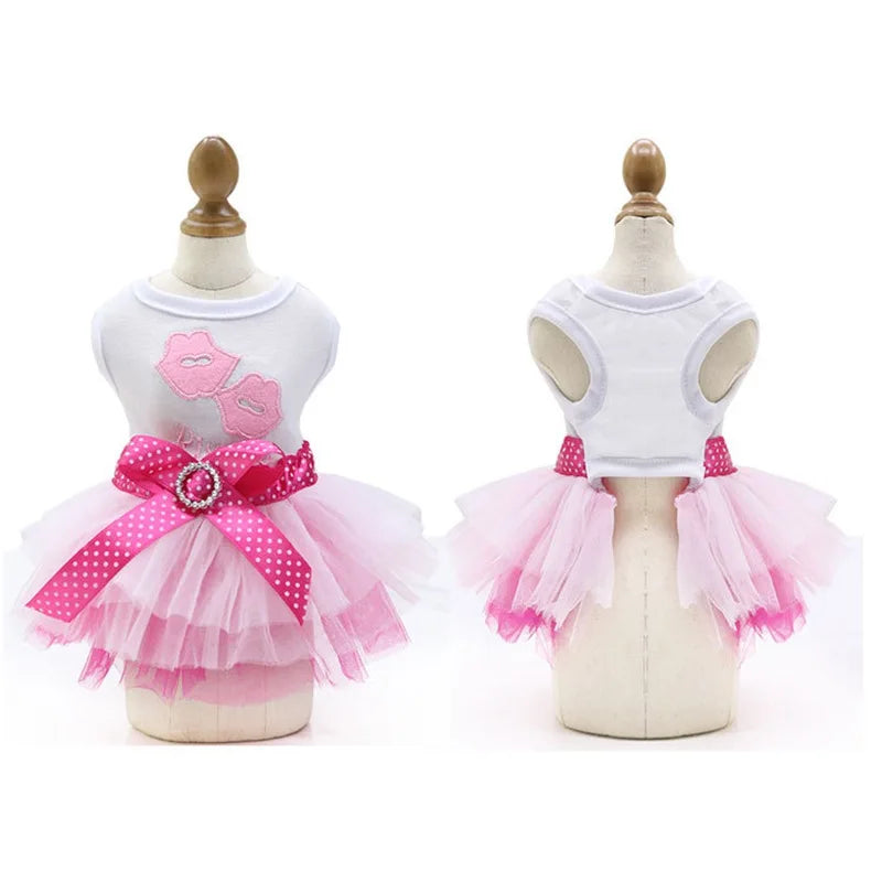 Sweet Dog Princess Dress for Small Dogs Lace Tutu Skirt Pet Apparel Summer Autumn Chihuahua Dress