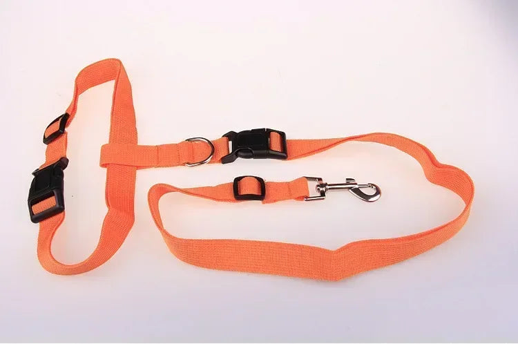 Adjustable Cat Dog Walking Lead Belt with Free Rope Supplies