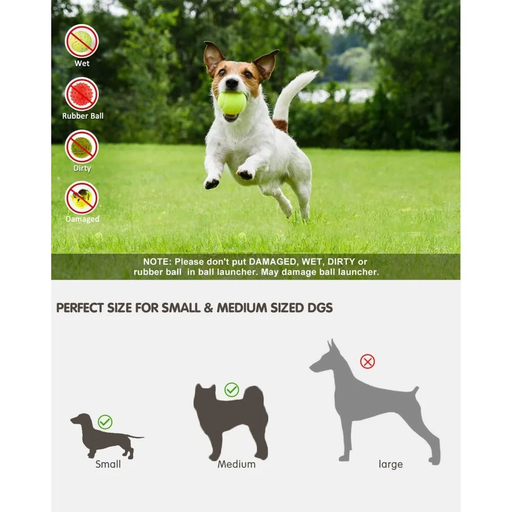 Automatic Dog Ball Launcher with 12 Tennis Balls for Fun Play