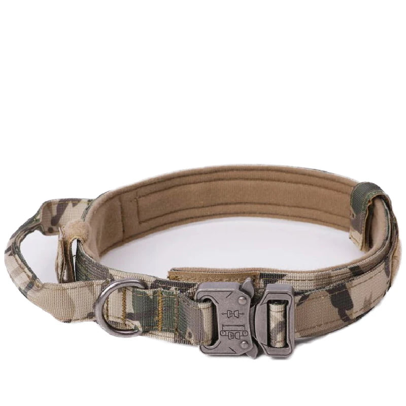 Durable Nylon Dog Collar and Leash Set for Large Breeds