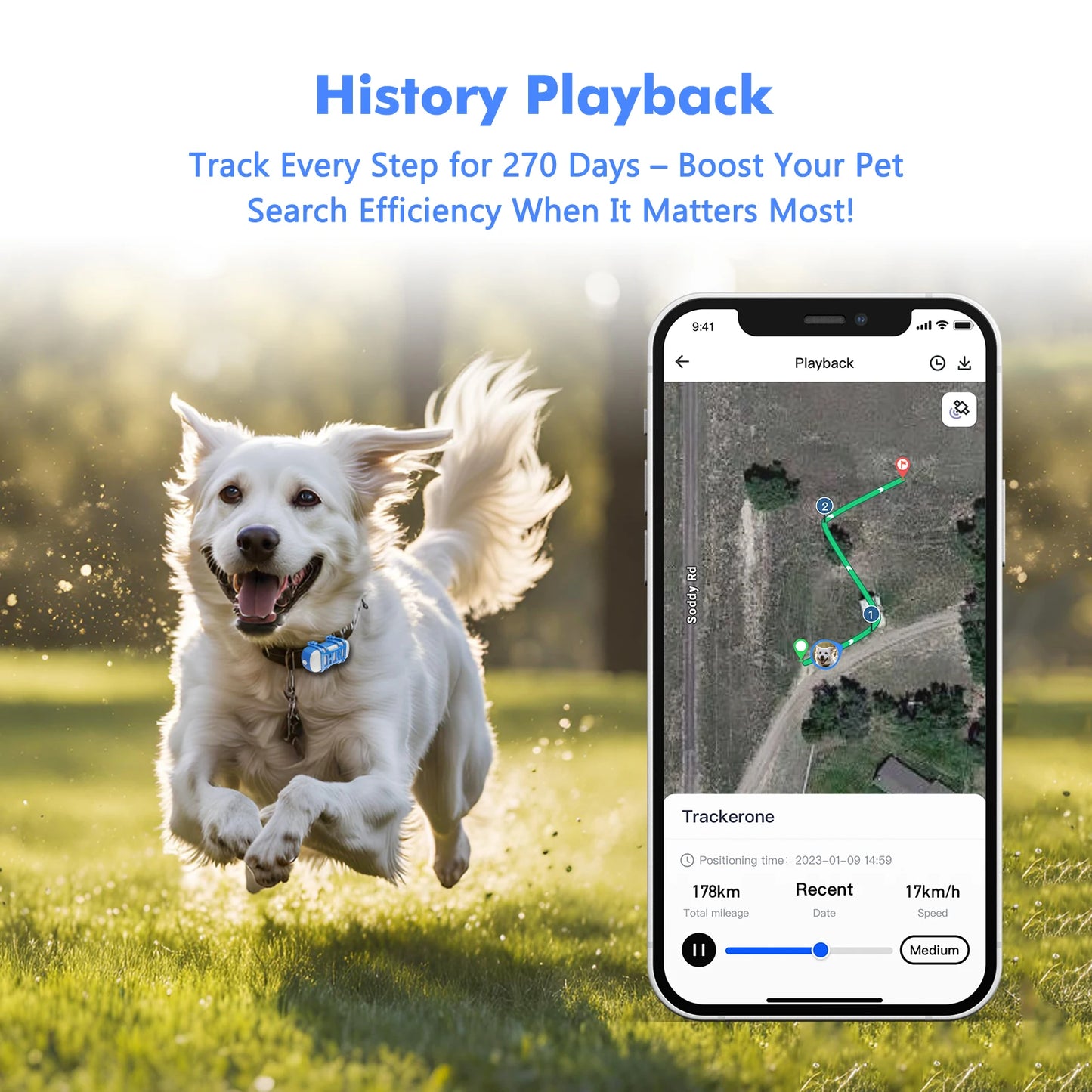 4G Waterproof Dog Cat GPS Tracker with Live Tracking App